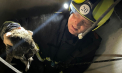 Misiune de salvare mai puțin obișnuită la Criuleni: Salvatorii au scos un cățeluș dintr-o fântână, de la o adâncime de 15 metri - FOTO