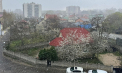 Iarna a ajuns și în capitală: Ninge ca în plină iarnă cu fulgi mari și deși - FOTO/ VIDEO