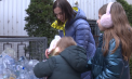 Sortarea deșeurilor începe acasă: Familia Grincic dă exemplu într-un oraș unde doar 10% din gunoi ajunge la reciclare - VIDEO