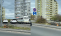Mai mulți copaci de pe bulevardul Renașterii din capitală au fost tăiați, fapt ce a generat nemulțumirea oamenilor. Explicațiile primăriei - VIDEO