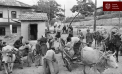 „Foamea nu a întrebat ce limbă vorbesc victimele”. Mesajul Maiei Sandu în ziua comemorării foametei organizate din 1946–1947
