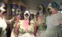 Concurs inedit în Belgia. Peste 60 de oameni au imitat strigătele pescărușilor - VIDEO