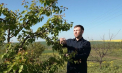 Fermierii din Rîșcani trag un semnal de alarmă, după ce înghețurile au distrus zeci de hectare: „Dacă așa va fi și la anul, ne lăsăm de agricultură" - VIDEO