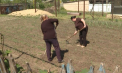 Au săpat, au udat și și-au hrănit păsările, căci o zi de primăvară hrănește un an. Cum a fost sărbătorită ziua muncii în satele Moldovei - VIDEO