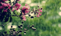 Precipitații slabe în unele raioane și maxime de până la 29 grade. Cum va fi vremea astăzi, dar și în următoarele zile. Prognoza meteo