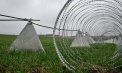 Lituania va aloca 1,1 miliarde de euro pentru fortificarea granițelor cu Rusia și Belarus