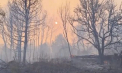 Incendii de pădure din regiunea Amur, în Rusia. Flăcările se apropie de cosmodromul Vostocini. Aici se află Ţiolkovski, un oraş cu acces restricţionat, cu o populaţie puţin sub 7.500 de locuitori