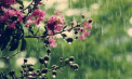 Ploi slabe în centrul și sudul țării.Cum va fi vremea astăzi, dar și în următoarele zile. Prognoza meteo