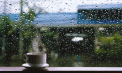 Cer noros și ploi slabe în nordul și centrul țării. Cum va fi vremea astăzi, dar și în următoarele zile. Prognoza meteo