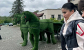 „Ce acuzații vi se aduc?” Directorul sanatoriului unde CNA a descins cu zeci de percheziții - reținut de mascați - VIDEO