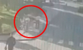 Filmul crimei șocante de lângă București, unde o tânără însărcinată a fost împușcată mortal de fostul iubit: Bărbatul avea asupra sa două pistoale - VIDEO