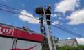 Intervenție inedită la Căușeni. Un pui de barză care a căzut din cuib, salvat de pompieri