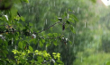 Cer noros și precipitații slabe în centrul și nordul țării. Cum va fi vremea astăzi, dar și în următoarele zile. Prognoza meteo