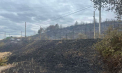 Localnicii, îngroziți de incendiul care a mistuit câteva hectare de pădure și două gospodării, stingeau focarele care încă mocneau: „Toată lumea aleargă, alerg și eu și ajut cu ce pot” - VIDEO