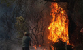 Incendii de vegetație în provincia Izmir din Turcia. 77 de focare au izbucnit în doar 24 de ore. Peste 1.000 de pompieri mobilizați - VIDEO
