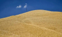UE a convenit cu Ucraina un nou acord privind importurile de produse agricole. Cote pentru produsele cele mai sensibile