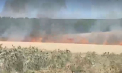 Incendiu de proporții într-un lan de grâu din Cimișlia: 17 hectare au fost afectate. Patru echipaje au intervenit pentru a stinge flăcările - VIDEO