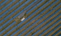 Un nou record de energie regenerabilă. Pe 29 iunie, ponderea energiei electrice provenite din surse regenerabile interne în consumul total de energie electrică a depășit valoarea de 48%