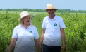 Afine, cătină și aronia din Ungheni: Povestea unei familii care vrea să cucerească piețele externe - VIDEO