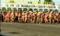 O cursă inedită: Peste 300 de alergători costumați în dinozauri au invadat un hipodrom din Washington - VIDEO