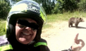 Detaliul cutremurător descoperit în telefonul turistului ucis de o ursoaică pe Transfăgărășan. Greșeala care i-a fost fatală - VIDEO 
