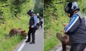 Ultima fotografie făcută de motociclistul omorât de o ursoaică pe Transfăgărășan: „S-a dat jos și a oferit mâncare ursului” - FOTO