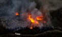 Siria cere ajutorul Uniunii Europene pentru a stinge incendiile devastatoare din vestul țării - VIDEO