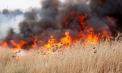Campanie IGSU în plin sezon de recoltare: Fermierii, instruiți cum să evite incendiile - VIDEO