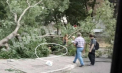 Vântul puternic a doborât mai mulți copaci în stânga Nistrului: o persoană a fost rănită, iar mai multe mașini avariate – FOTO