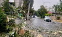 Un copac a căzut pe carosabil și a rupt fire electrice pe o stradă din capitală. Salvatorii au intervenit - VIDEO