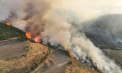 Incendii de vegetație în Spania din cauza căldurii extreme: focarele se apropie de Madrid - VIDEO

