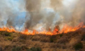 Cod roșu în Sicilia din cauza incendiilor: ministerul de Externe emite alertă de călătorie - VIDEO