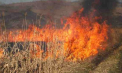 Încă un Cod GALBEN: Pericol de incendii. Anunțul făcut de meteorologi - FOTO
