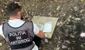 Prins în flagrant: Bărbat din Chișinău, reținut chiar în momentul când plasa droguri în ascunzișuri. Ce pedeapsă poate primi - VIDEO
