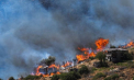 Europa în flăcări: Trafic oprit în Bulgaria și luptă intensă cu incendiile în Turcia - VIDEO