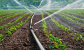 Peste 20 de agricultori vor beneficia de un sistem modern de irigare. Valoarea totală a proiectului depășește 2 milioane de lei