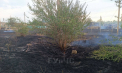 Incendiu în regiunea transnistreană: 15 hectare de iarbă uscată, făcute scrum de flăcări. Au intervenit 4 echipe de pompieri - FOTO