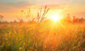 Vreme caniculară cu maxime de 34 grade. Ce temperaturi se vor înregistra astăzi, dar și în următoarele zile. Prognoza meteo
