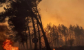 Vreme extremă în Europa: Caniculă în România, incendii în Turcia și inundații în Spania - VIDEO