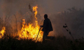 Sudul Europei, cuprins de flăcări: Incendii devastatoare în Grecia, Turcia, Italia și Bulgaria - VIDEO