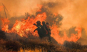 Canicula devastează sudul Europei: incendii de vegetație scăpate de sub control în Turcia, Grecia, Italia și Portugalia - VIDEO