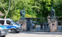 12 babuini sănătoși au fost uciși la Grădina Zoologică din Nurnberg, Germania, în ciuda protestelor și criticilor acerbe - VIDEO
