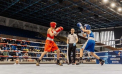 Șapte medalii obținute de tinerii boxeri moldoveni la Campionatul European printre școlari - VIDEO
