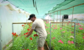 Livrează emoții și culoare: un tânăr din Ungheni a pus pe picioare o afacere florală modernă cu sprijinul UE - VIDEO