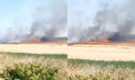 Un câmp agricol, cuprins de flăcări în stânga Nistrului. Imagini de la locul incendiului - VIDEO