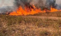 Incendiu la Dubăsari: Localnicii intervin alături de pompieri pentru stingerea flăcărilor - VIDEO