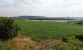 Schimbările climatice obligă agricultorii să-și regândească practicile tradiționale - VIDEO