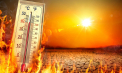 Recomandările IGSU în contextul codului GALBEN de caniculă, emis de meteorologi - FOTO