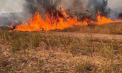 Pompierii avertizează: Pericolul incendiilor de vegetație se amplifică în condiții de temperaturi caniculare. Recomandările responsabililor