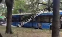 Un copac a căzut peste un troleibuz cu pasageri în Bălți, în urma unei furtuni violente: Vântul a distrus tarabe, a smuls un acoperiș și a rupt fire electrice - VIDEO
